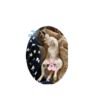 beagleの日常（個別スタンプ：5）