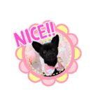おまめちゃん3！！！（個別スタンプ：3）