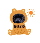 おまめちゃん3！！！（個別スタンプ：5）
