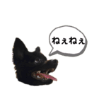 おまめちゃん3！！！（個別スタンプ：12）