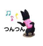 おまめちゃん3！！！（個別スタンプ：15）