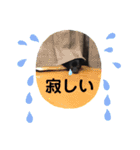 おまめちゃん3！！！（個別スタンプ：17）