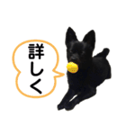 おまめちゃん3！！！（個別スタンプ：28）