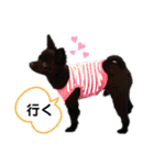 おまめちゃん3！！！（個別スタンプ：31）