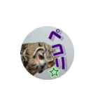Owl @ Sticker2（個別スタンプ：12）