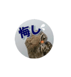 Owl @ Sticker2（個別スタンプ：35）