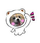世界一かわいいモカちゃんシリーズ第3段（個別スタンプ：21）