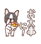 犬種いろいろ デカ文字｜いぬのきもち（個別スタンプ：25）