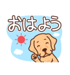 犬種いろいろ デカ文字｜いぬのきもち（個別スタンプ：33）