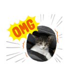 猫のイブちゃんスタンプ（個別スタンプ：3）