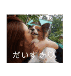 可愛い可愛い可愛いにこぱりちゃん♡（個別スタンプ：8）