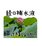 身体をいたわる、健康を気遣う言葉に蓮添（個別スタンプ：39）