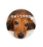 メロディのkawaiiスタンプ（個別スタンプ：4）