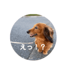 メロディのkawaiiスタンプ（個別スタンプ：5）