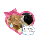 我が家にゃん4（個別スタンプ：7）