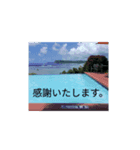 atamichi（個別スタンプ：2）