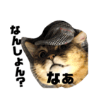 こてつの日常スタンプ 第2弾（個別スタンプ：7）