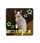 れおまる♪（個別スタンプ：14）