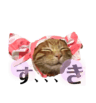 わたしのまーちゃん（個別スタンプ：8）