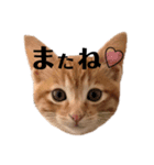 わたしのまーちゃん（個別スタンプ：20）