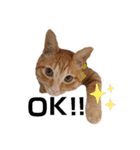 わたしのまーちゃん（個別スタンプ：21）