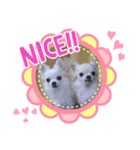 ルナソラ（個別スタンプ：1）