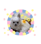 ルナソラ（個別スタンプ：7）