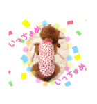みるたんたん1（個別スタンプ：3）