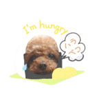 みるたんたん1（個別スタンプ：4）