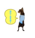 KONA♂ver.1（個別スタンプ：3）