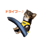 KONA♂ver.1（個別スタンプ：5）