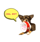 KONA♂ver.1（個別スタンプ：7）