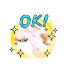 Cocoちゃんにゃんこちゃんスタンプ（個別スタンプ：8）
