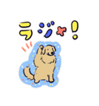 ゴールデンのスタンプ縁取り日本語版（個別スタンプ：15）