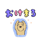 ゴールデンのスタンプ縁取り日本語版（個別スタンプ：35）