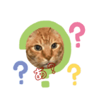 我が家にゃん2（個別スタンプ：1）
