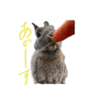 うさぎのホイップ幸せな毎日Vol.2（個別スタンプ：26）