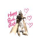 うさぎのホイップ幸せな毎日Vol.2（個別スタンプ：31）
