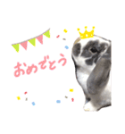 垂れ耳うさぎのまるちゃん（個別スタンプ：9）