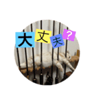Scottish momo（個別スタンプ：4）