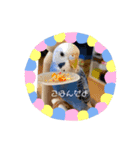 ラム＆まる（個別スタンプ：7）