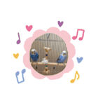 ラム＆まる（個別スタンプ：12）