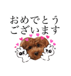 たまにチャラいトイプードルの日常スタンプ（個別スタンプ：7）