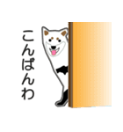 洋服地の柴犬（個別スタンプ：9）