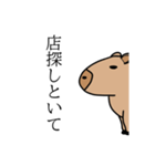 行く店を無表情で決めるカピバラ（個別スタンプ：4）