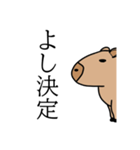 行く店を無表情で決めるカピバラ（個別スタンプ：15）