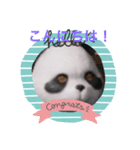 パンダのパンタロウ（個別スタンプ：4）