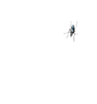 画面の上に蚊。（個別スタンプ：1）