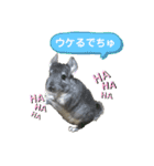 ポコの日常会話2（個別スタンプ：1）