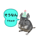 ポコの日常会話2（個別スタンプ：2）